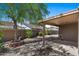 Cozy backyard patio features a mature tree, landscaping, and covered space for relaxing and outdoor enjoyment at 421 E Terrace Ave, Gilbert, AZ 85234