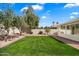 Spacious backyard with lush green lawn, shade trees, tiled patio, and covered back porch at 4546 E Villa Rita Dr, Phoenix, AZ 85032