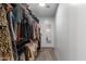 Spacious walk-in closet featuring ample hanging space and storage at 7010 W Downspell Dr, Peoria, AZ 85345