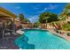 This backyard pool features a baja step, blue water, and lush desert landscaping at 8402 W Laurel Ln, Peoria, AZ 85345