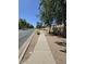 A wide sidewalk runs along a quiet neighborhood street lined with drought-resistant landscaping and mature trees at 1101 S Hazel St, Gilbert, AZ 85296