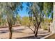 Scenic view of mature trees, desert landscaping, and green space from a backyard patio or balcony at 10444 N 69Th St # 224, Paradise Valley, AZ 85253