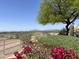 Scenic desert view from the property showcasing vibrant flowers, mature trees and distant mountains at 11645 E Bella Vista Dr, Scottsdale, AZ 85259