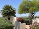 Well-manicured landscape featuring desert plants, a palm tree, and mountain views at 11645 E Bella Vista Dr, Scottsdale, AZ 85259