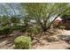A beautifully landscaped backyard with mature trees, shrubbery, gravel, and a stepping stone pathway at 11837 N 40Th Pl, Phoenix, AZ 85028