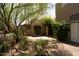 View of the backyard and patio, enhanced by mature trees and desert landscaping at 11837 N 40Th Pl, Phoenix, AZ 85028