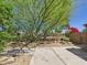 Backyard featuring a large green tree, concrete tile, and vegetation around the perimeter at 11837 N 40Th Pl, Phoenix, AZ 85028