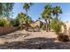 Expansive backyard featuring well-manicured gravel, palms and desert landscaping at 13514 W Banff Ln, Surprise, AZ 85379