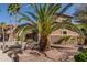 Lush front yard with desert landscaping, palm trees, and a charming exterior stone accents at 13514 W Banff Ln, Surprise, AZ 85379