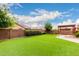 Expansive backyard featuring lush artificial turf, a brick perimeter wall, and a covered patio with string lights at 1437 E Flamingo Way, Gilbert, AZ 85297