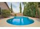 Backyard pool with well-maintained landscaping and block wall perimeter fence at 1439 S Dodge St, Gilbert, AZ 85233