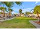 This backyard has a refreshing pool, green grass and palm trees at 15206 S 47Th St, Phoenix, AZ 85044