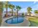 Gorgeous pool is surrounded by lush green grass and desert landscaping at 15206 S 47Th St, Phoenix, AZ 85044