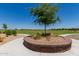 Lush green community park with landscaped walking paths and attractive landscaping at 18956 W Laurel Ln, Surprise, AZ 85388