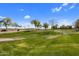Lush community park with expansive green space, walking trails, and mature landscaping at 23945 N Pablo N Ct, Sun City, AZ 85373