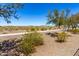 Desert landscape view featuring native plants and distant mountains at 25862 N 108Th Ave, Peoria, AZ 85383