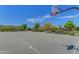 Community basketball court with a well-maintained court, hoop, and beautiful landscaping at 4247 S Zenith --, Mesa, AZ 85212