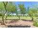 Scenic community park with green space, mature trees, and a playground at 4247 S Zenith --, Mesa, AZ 85212