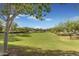 Expansive green space with mature trees and lush landscaping in a welcoming community at 4247 S Zenith --, Mesa, AZ 85212