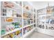 Walk-in pantry with ample white shelving for organized storage at 4247 S Zenith --, Mesa, AZ 85212