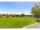 Spacious green space with lush grass, mature trees, and a perimeter fence, providing an ideal setting for outdoor activities at 4516 E Walter Way, Phoenix, AZ 85050