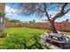 Green backyard featuring brick lined landscaping with shade tree, bougainvillea at 7952 W Oregon Ave, Glendale, AZ 85303