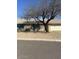 Well maintained single-story home with a two-car garage and a front yard tree at 4741 W Annette Cir, Glendale, AZ 85308