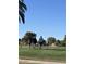 Golfers enjoy a sunny day on a well-maintained golf course with palm trees at 4741 W Annette Cir, Glendale, AZ 85308