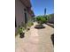 Charming backyard featuring desert landscaping, stone walkway, and mature trees, ideal for outdoor living at 7723 E Visao Dr, Scottsdale, AZ 85266