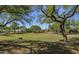 Expansive grassy lawn area surrounded by mature trees and lush greenery at 7723 E Visao Dr, Scottsdale, AZ 85266