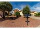 Well-manicured front yard featuring desert landscaping with decorative rock and mature trees at 12930 W Chapala Dr, Sun City West, AZ 85375