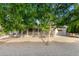 Mature tree in the backyard adds curb appeal to this property at 13148 N 21St Ave, Phoenix, AZ 85029