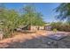 Expansive backyard featuring a spacious patio area, mature trees, and desert landscaping, offering privacy and a natural ambiance at 2034 N Dayton St, Phoenix, AZ 85006