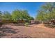 Large backyard with mature trees, a brick-paved area, and a mix of gravel and grassy areas, ideal for outdoor activities at 2034 N Dayton St, Phoenix, AZ 85006