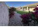Landscaped backyard with vibrant bougainvillea, low-maintenance turf, and a covered patio for outdoor entertaining at 20822 N 42Nd. Ave, Glendale, AZ 85308