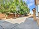 Spacious backyard featuring mature shade trees and a basketball hoop providing ample recreational space at 25453 N 68Th Ln, Peoria, AZ 85383