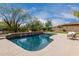 Inviting backyard featuring a sparkling pool, lush landscaping, and serene outdoor setting at 30246 N 123Rd Ln, Peoria, AZ 85383