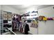 Organized walk-in closet with shelves and hanging racks for clothes, shoes, and handbags at 6818 W St Catherine Ave, Laveen, AZ 85339
