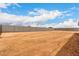 Large desert backyard surrounded by a block wall in a new construction home at 6515 N Loma Ct, Casa Grande, AZ 85194