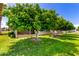 Charming home featuring mature trees providing shade, with a well-maintained lawn at 10418 W Corte Del Sol Oeste --, Sun City, AZ 85351