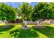 Well-maintained front yard with grass and mature trees at 10418 W Corte Del Sol Oeste --, Sun City, AZ 85351