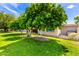 Well-maintained front yard with grass and mature trees at 10418 W Corte Del Sol Oeste --, Sun City, AZ 85351
