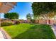 Lush backyard featuring manicured lawn, mature trees, and well-maintained landscaping at 1344 N Constellation Way, Gilbert, AZ 85234