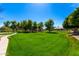 Expansive community green space with mature trees, walking path, and recreational areas providing a picturesque and serene environment at 1344 N Constellation Way, Gilbert, AZ 85234