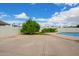 Spacious backyard with a pool and mature trees, offering a serene outdoor retreat at 1934 E Hale St, Mesa, AZ 85203