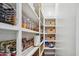 Well-stocked pantry with ample shelving and organized food storage containers at 19901 E Country Meadows Dr, Queen Creek, AZ 85142