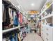 Spacious walk-in closet with custom shelving for clothes, shoes, and accessories with carpet flooring at 19901 E Country Meadows Dr, Queen Creek, AZ 85142