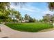 A serene community park features a wide expanse of green grass and mature trees at 2319 E San Tan Dr, Gilbert, AZ 85296