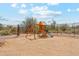 Spacious backyard with ' playset at 27420 N 170Th St, Rio Verde, AZ 85263