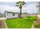 An expansive backyard view with lush green grass, a mature palm tree, a covered patio, and a clean, modern aesthetic at 7346 E Mckinley St, Scottsdale, AZ 85257